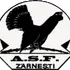 Olimpic Zarnesti