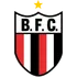 Botafogo SP B