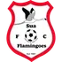 Flamingoes