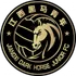 Yichun GT