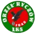 Orzel Ryczow