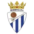Injerto