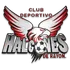 Halcones Rayon