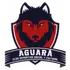 Aguará
