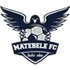 Matebele