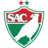 Salgueiro