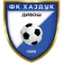 Hajduk