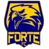Forte