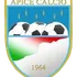 Apice
