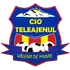 Teleajenul