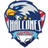 Halcones