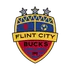 Flint City