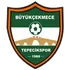 Tepecikspor