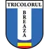 Tricolorul Breaza