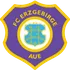 Erzgebirge Aue