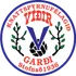 Vidir