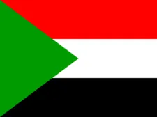 M. Eisa