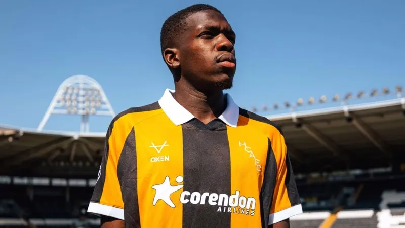 Gourna-Douath, Hull City'de