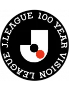 J1 100 Year Vision League