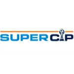 Süper Kupa