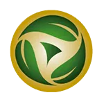 Copa Verde