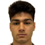 V. Harutyunyan