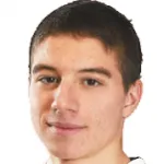 N. Terzic