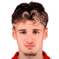K. Alajbegovic