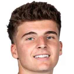 J. Damevski