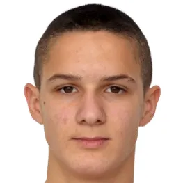 A. Ristic
