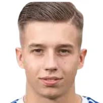 H. Hodzic