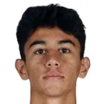 Ege Araç
