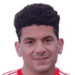 K. Abo Ziada