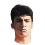 Salih Efe Fidan