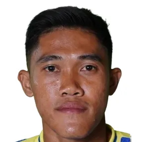 D. Mardiyanto