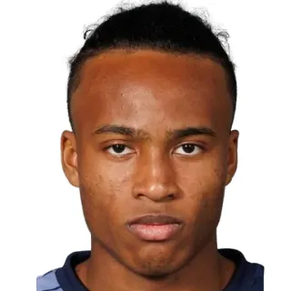 H. Sani Brown