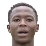 S. Mahlambi