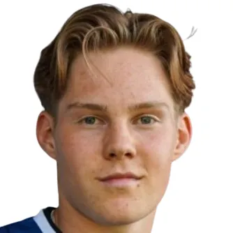 M. Persson