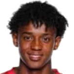 Bruninho
