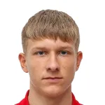 V. Subotić