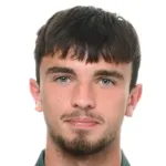 V. Seitz
