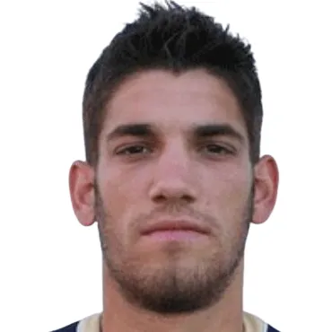 N. Zizic