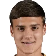 L. Miladinovic