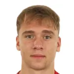 D. Sandu