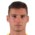 P. Leitner