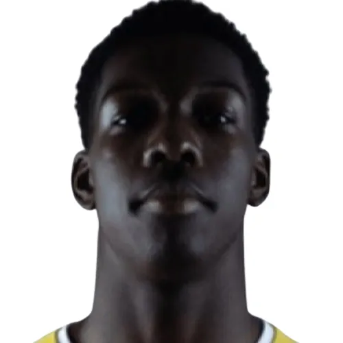 M. Nkoumouck