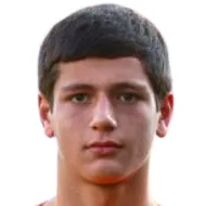 E. Vardanyan