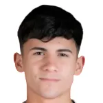 V. Vargas
