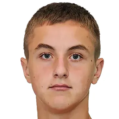 N. Domchak
