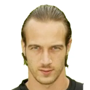 L. Pichon
